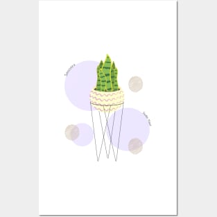 Sansevieria or snake plant house plant decoration illustration Posters and Art